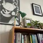 Lampe de chevet verte sur une étagère de bibliothèque en bois.