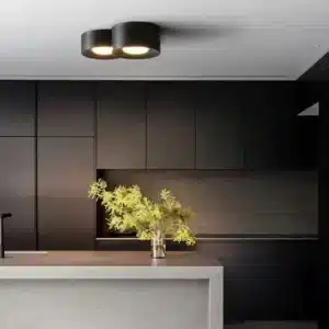 Plafonnier LED moderne duo noir en fer et acrylique pour salon