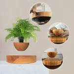 Plante flottante avec pot en bois de noyer clair, rond, à suspension magnétique.