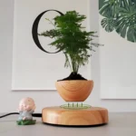 Pot en bois clair, rond, à lévitation magnétique, pour plantes.