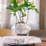 Pot flottant en marbre polygone pour bonsaï, suspension magnétique.
