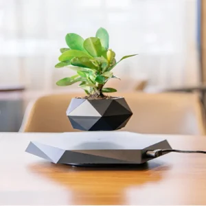 Pot noir polygone à suspension magnétique pour plante flottante.