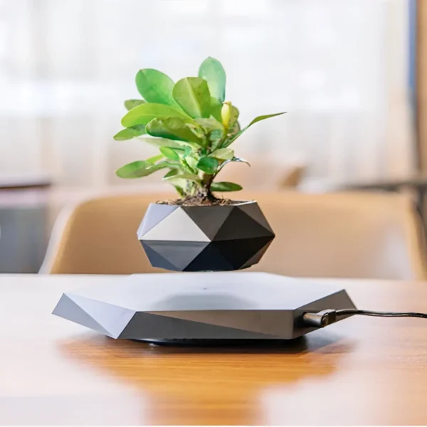 Pot noir polygone à suspension magnétique pour plante flottante.