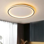 Plafonnier LED arc de lumière noir pour salon, image de galerie